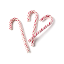 Cannes Sucre CduBelge Produits1339 © Alexandre Bibaut.webp